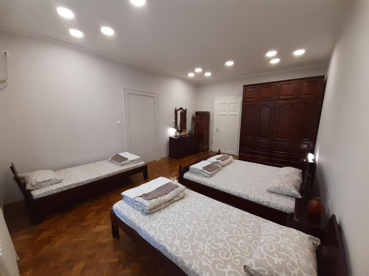 Downtown Apartment In Walk Zone With 3 Bedrooms And Garage Novi Sad Exterior foto