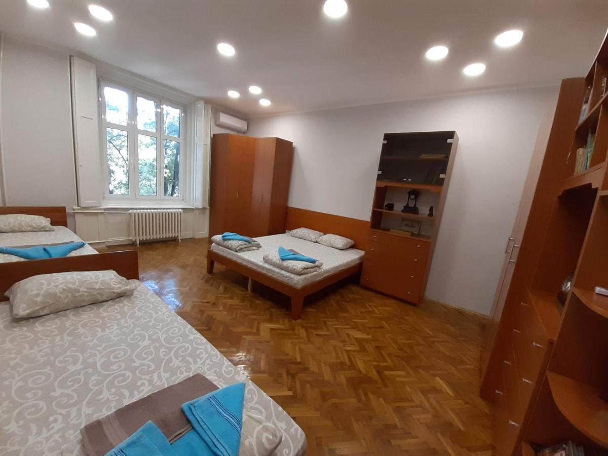 Downtown Apartment In Walk Zone With 3 Bedrooms And Garage Novi Sad Exterior foto